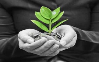 Devenir auto-entrepreneur : intéressant pour les coiffeurs ?