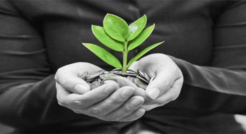 Devenir auto-entrepreneur : intéressant pour les coiffeurs ?
