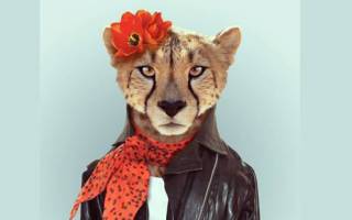 REGLE N°2 : REUSSIR SON ACCUEIL PHYSIQUE EN SALON DE COIFFURE