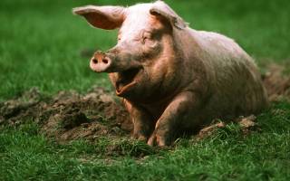 REGLE N°4 HYGIENE ET PROPRETE DANS LE SALON DE COIFFURE