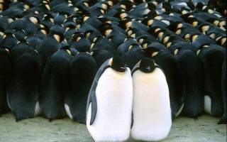 REGLE N°5 : COMPORTEMENT DE L'EQUIPE EN SALON DE COIFFURE