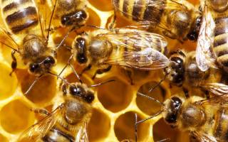 REGLE N°8 : ORGANISATION DU TRAVAIL DANS LE SALON DE COIFFURE (PARTIE 1)