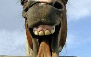 REGLE N°9 : BAROMETRE DE L'AMBIANCE EN SALON DE COIFFURE